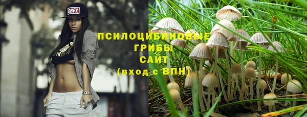 соль ск Алексеевка