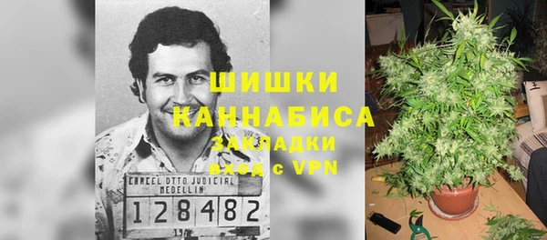 ПСИЛОЦИБИНОВЫЕ ГРИБЫ Алзамай