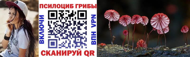 наркота  Киров  Псилоцибиновые грибы Cubensis 