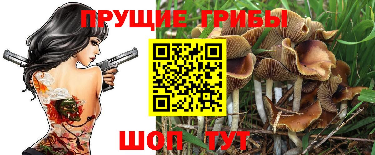 Псилоцибиновые грибы ЛСД  Псилоцибиновые грибы Cubensis  Киров  Вход с VPN 